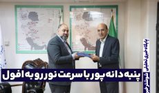 پنبه‌دانه‌پور باسرعت نور در مسیر افول یا شرعی مجدد؟