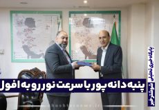 پنبه‌دانه‌پور باسرعت نور در مسیر افول یا شرعی مجدد؟