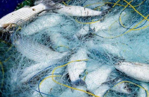 رشته شیلات در هنرستان شهید باهنر شهرستان شوشتر ایجاد شد