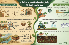 اینفوگرافی اختصاصی/ مشکل نهاده‌های دامی و کشاورزی