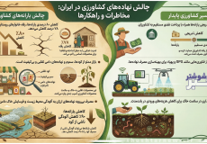 اینفوگرافی اختصاصی/ مشکل نهاده‌های دامی و کشاورزی